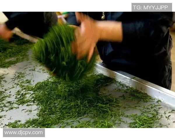 茶香四溢的绿茵场上足球明星们的爱茶生活揭秘