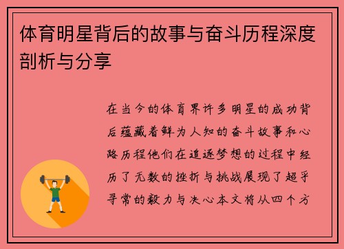 体育明星背后的故事与奋斗历程深度剖析与分享